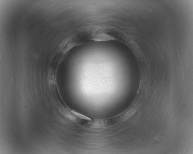 X0000067330384200603311106