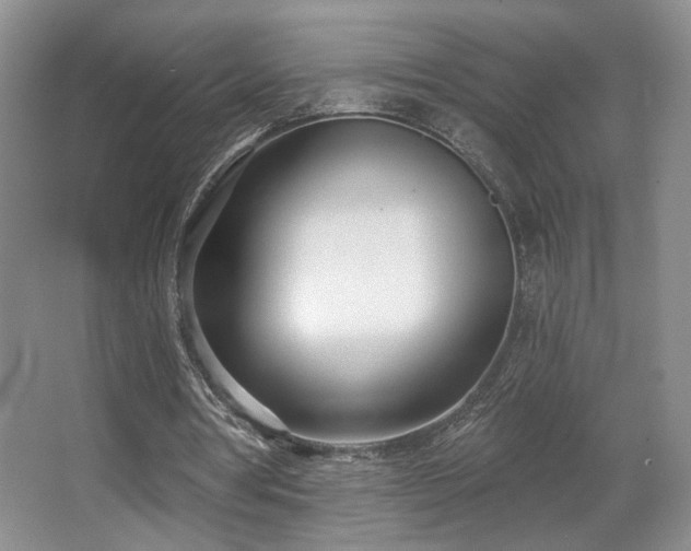 X0000067330386200603311105