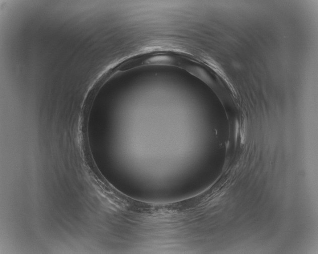 X0000067330387200603311105