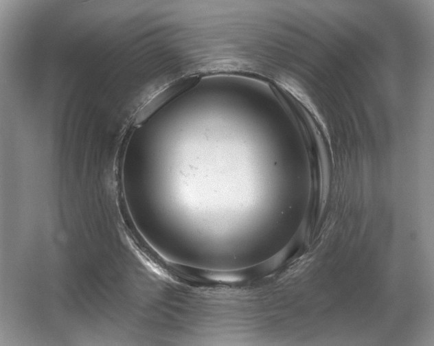 X0000067330389200603311105