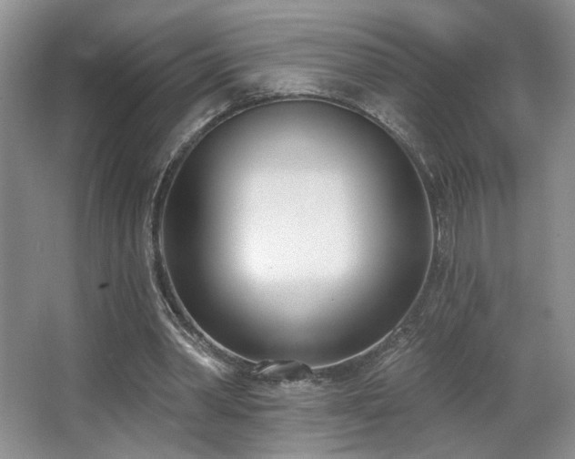 X0000067330390200603311105