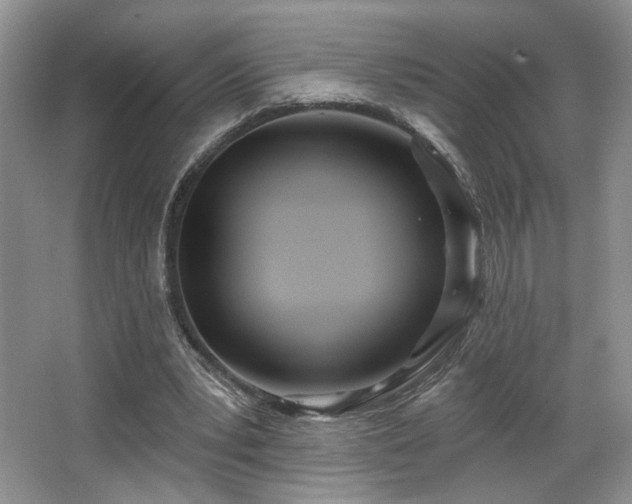 X0000067330391200603311105