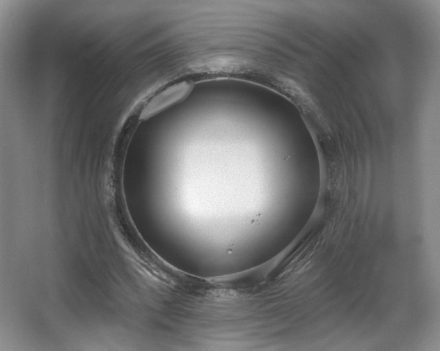 X0000067330392200603311105