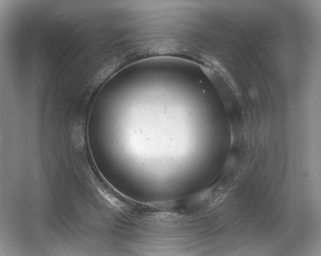 X0000067330393200603311105