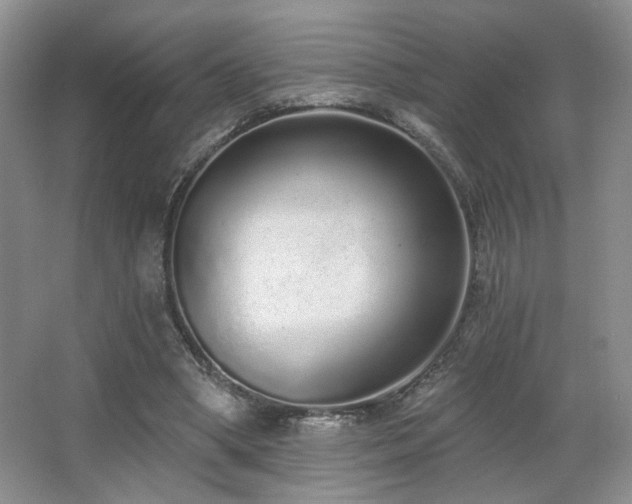 X0000067330394200603311105