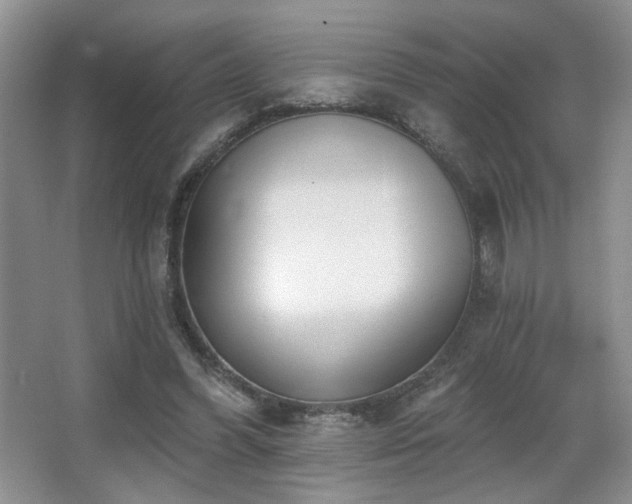 X0000067330396200603311105