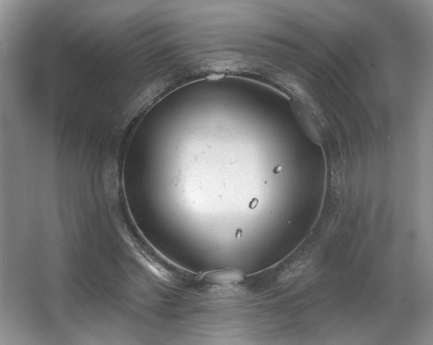 X0000067330397200603311105