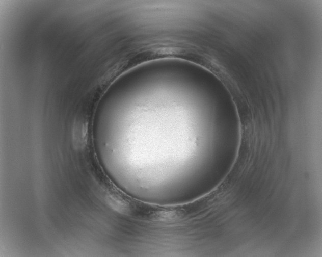 X0000067330406200603311105