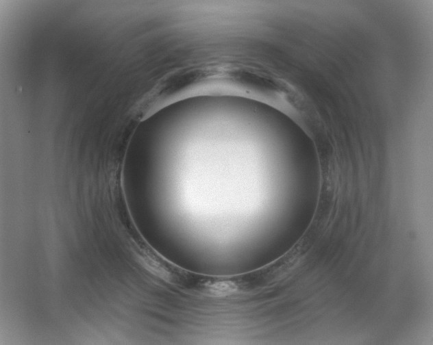 X0000067330409200603311105