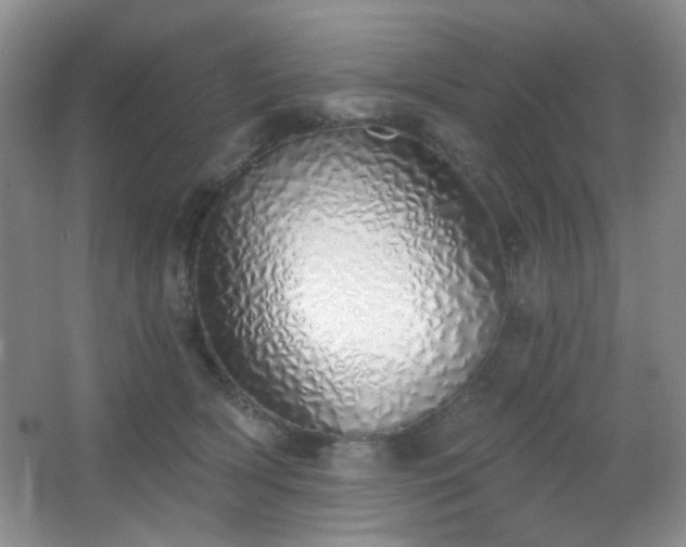 X0000067330418200603311105