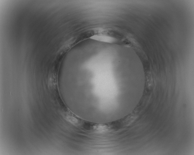 X0000067330419200603311105