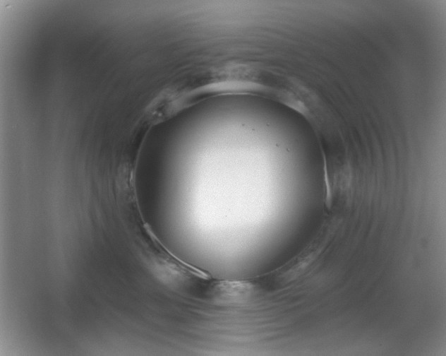 X0000067330429200603311105