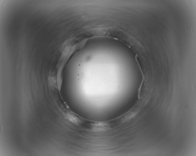X0000067330432200603311105