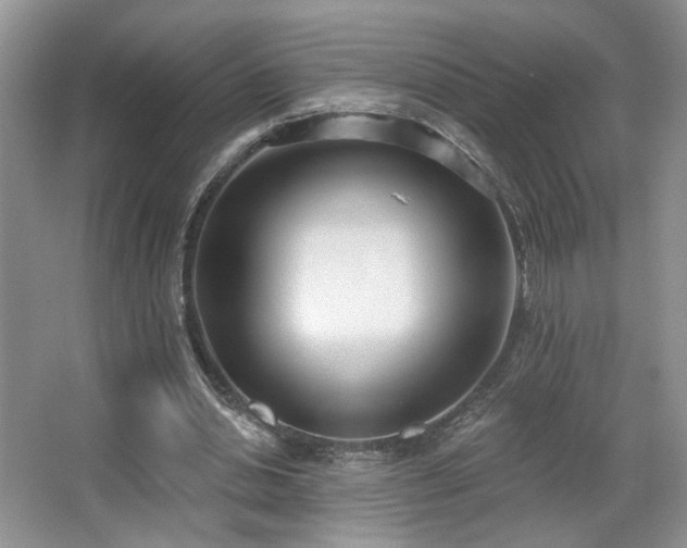 X0000067330438200603311104