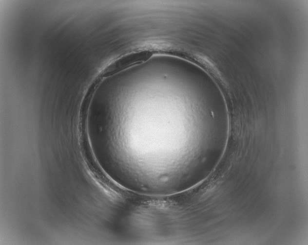 X0000067330439200603311104