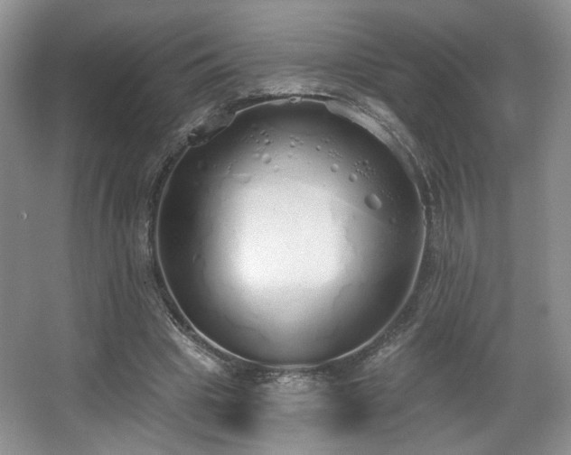 X0000067330441200603311104