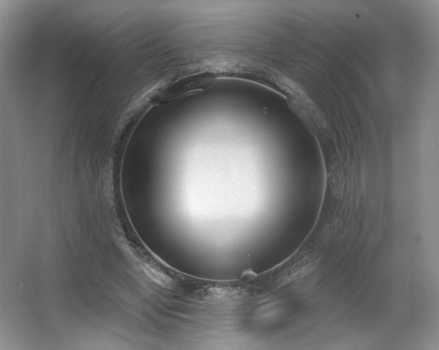 X0000067330442200603311104