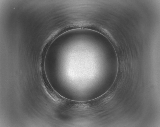 X0000067330443200603311104