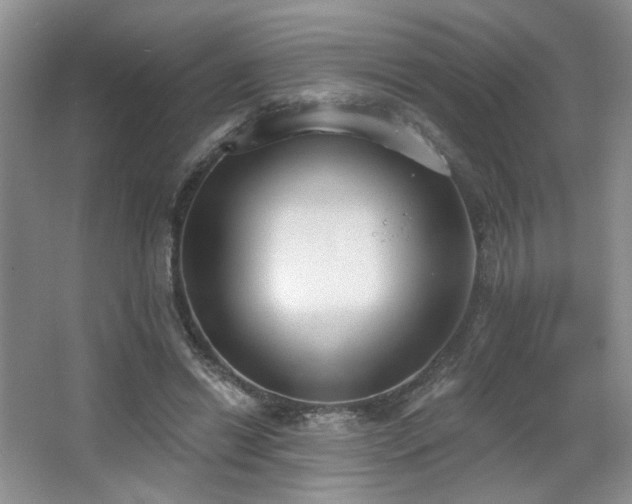 X0000067330446200603311104