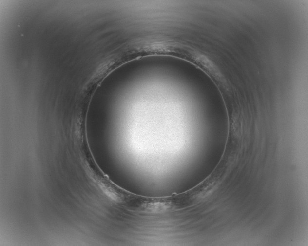 X0000067330449200603311104
