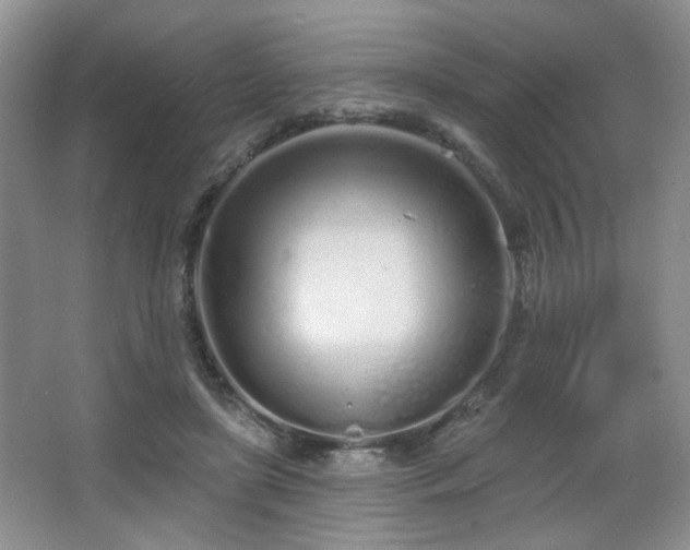 X0000067330451200603311104