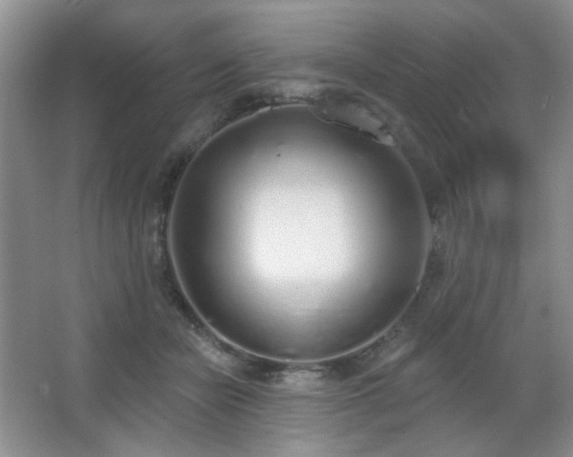X0000067330462200603311104