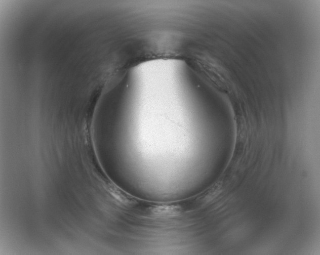 X0000067330465200603311104