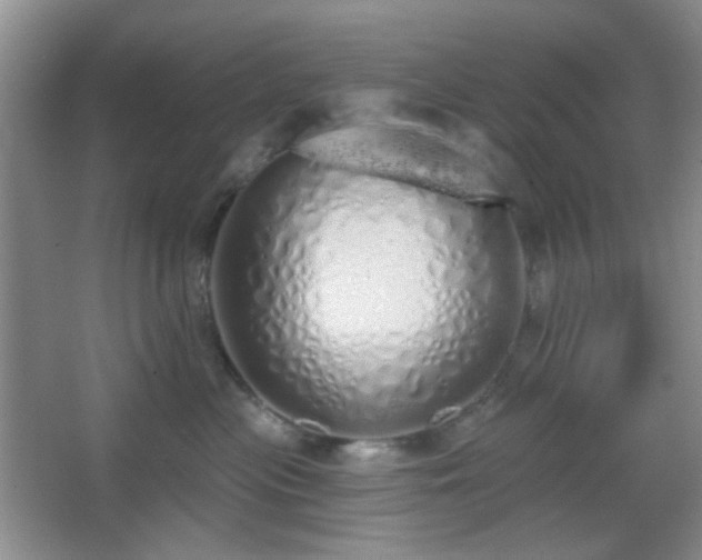 X0000067330477200603311105