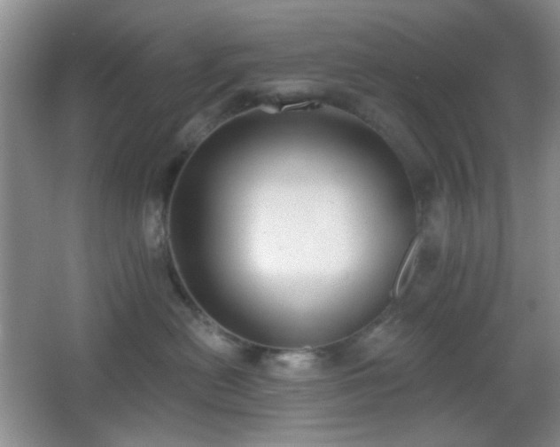 X0000067330478200603311105