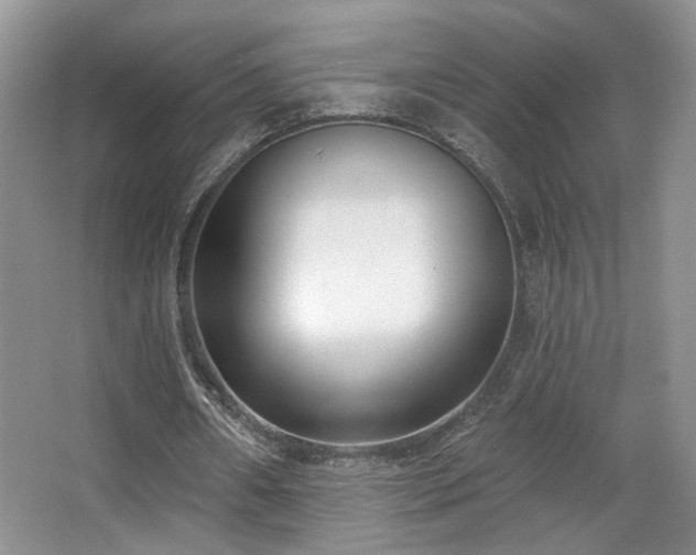 X0000067330482200603311104