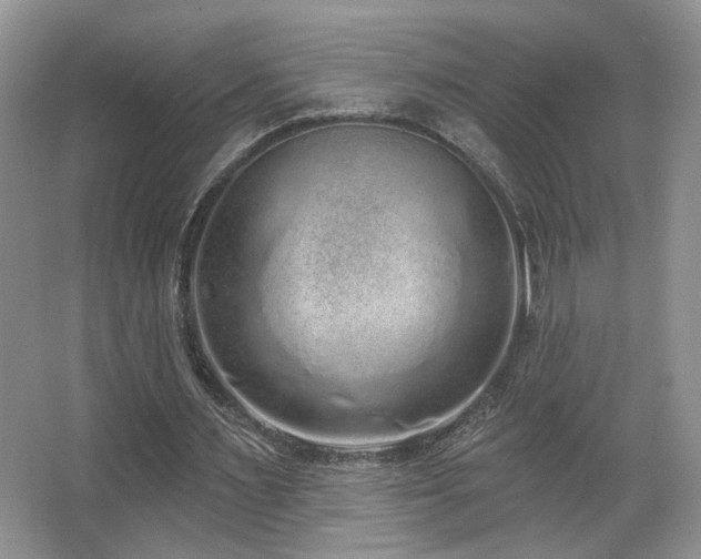 X0000067330483200603311104