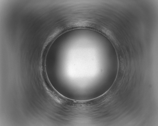 X0000067330486200603311104