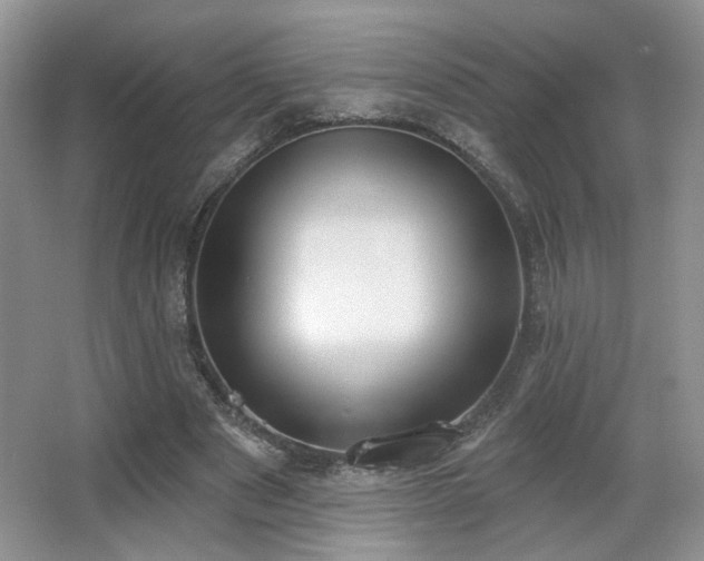 X0000067330489200603311104