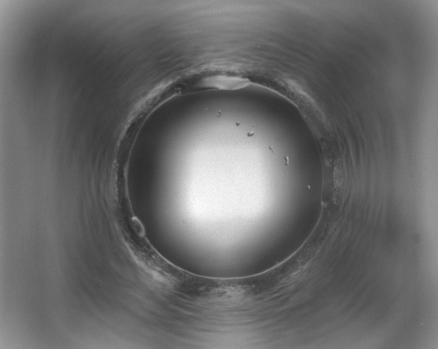 X0000067330492200603311104