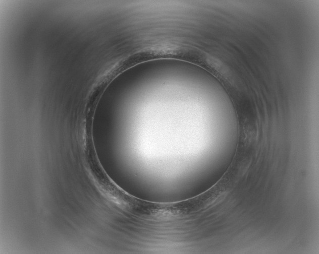 X0000067330494200603311104