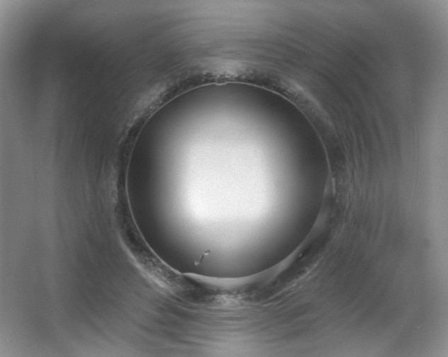 X0000067330496200603311104