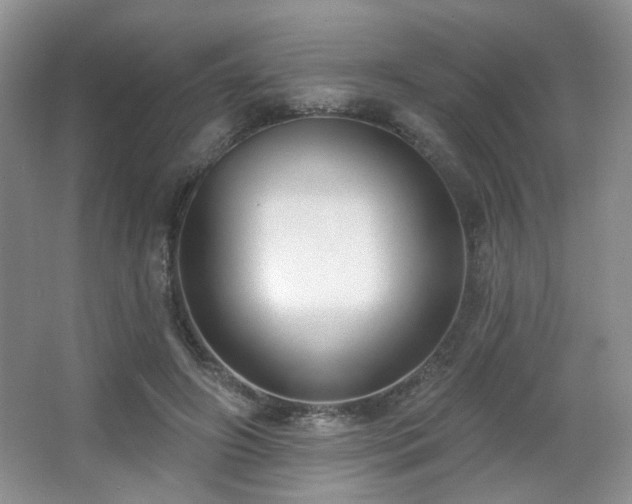 X0000067330498200603311104