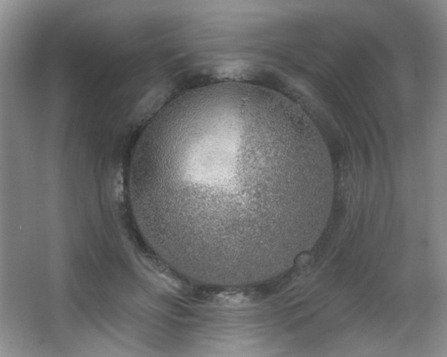 X0000067330502200603311104