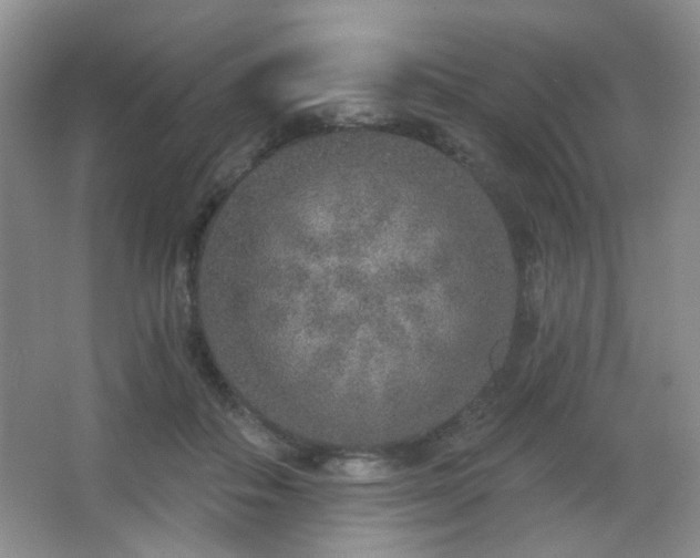 X0000067330506200603311103