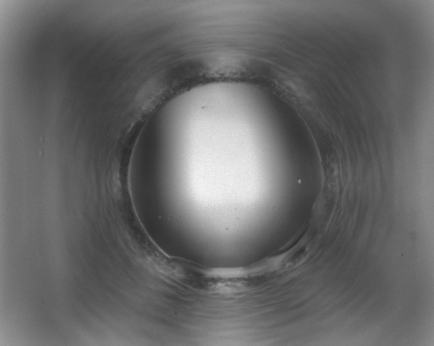 X0000067330508200603311103