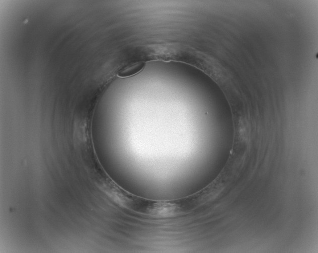 X0000067330514200603311103