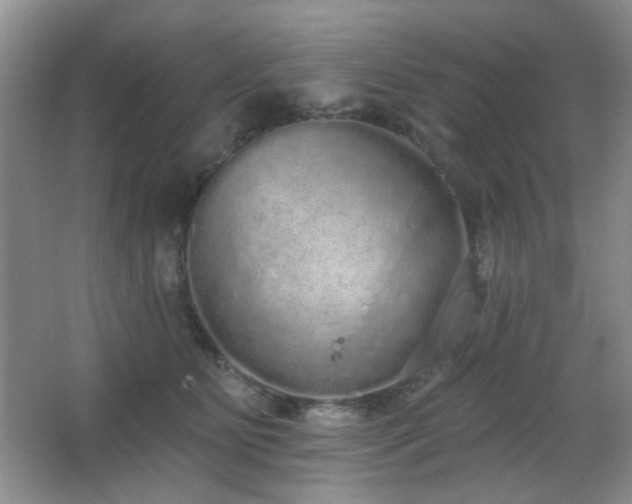 X0000067330515200603311103