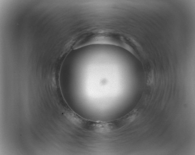 X0000067330524200603311103