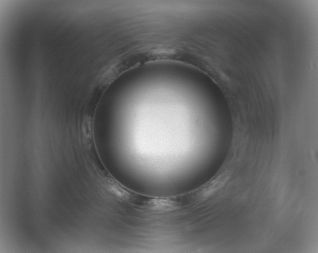 X0000067330528200603311103