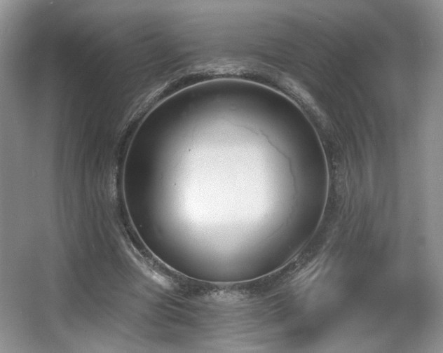 X0000067330537200603311102