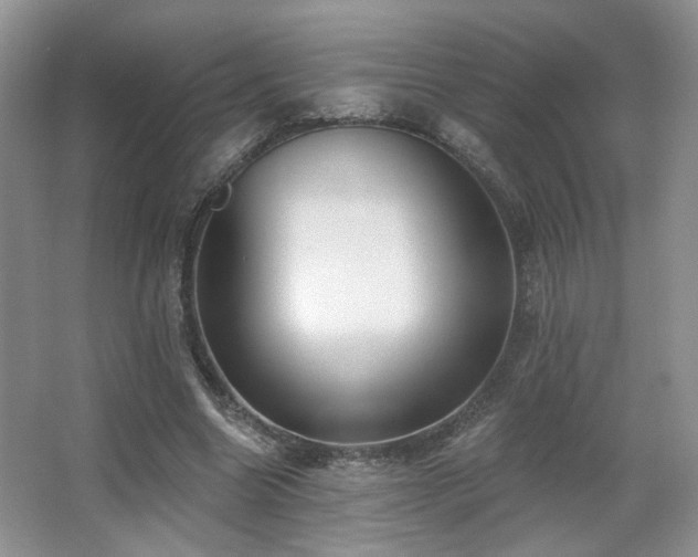 X0000067330538200603311102