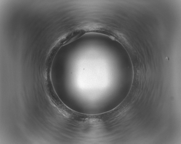 X0000067330539200603311102
