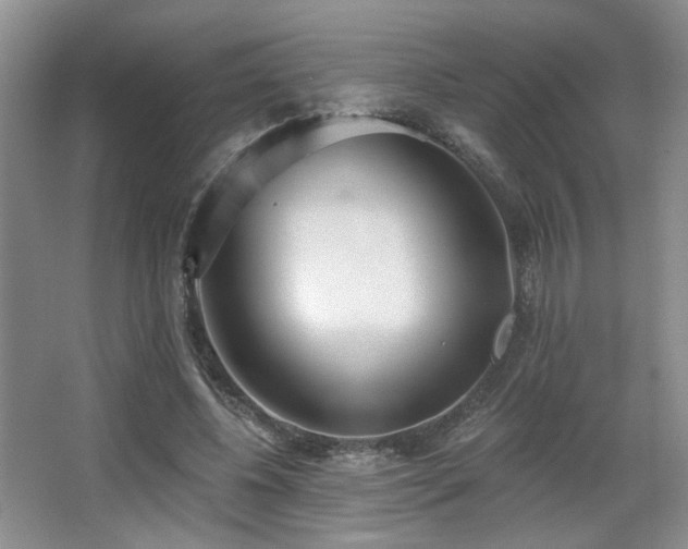 X0000067330540200603311102