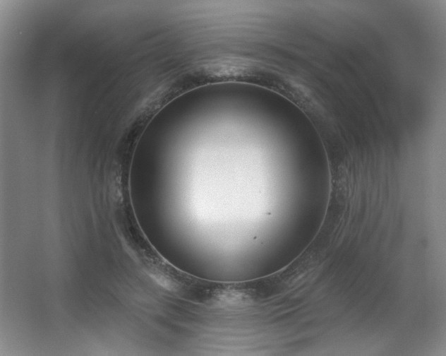 X0000067330547200603311103