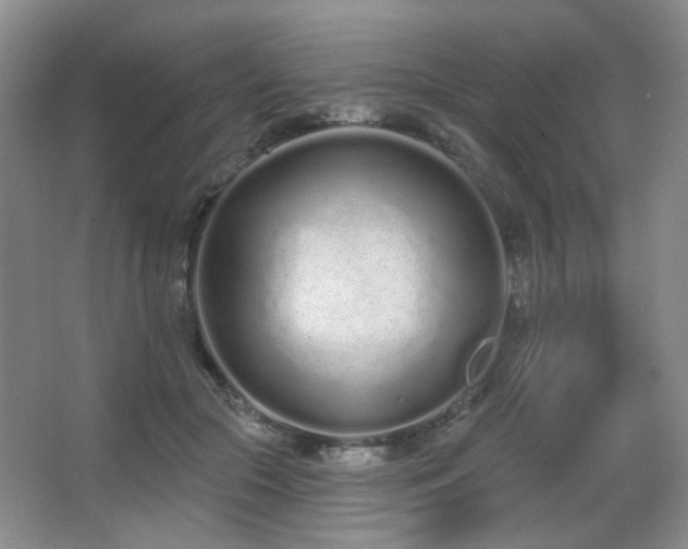 X0000067330553200603311103